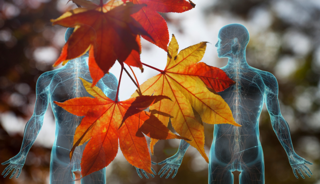 disposição para atividade física no outono