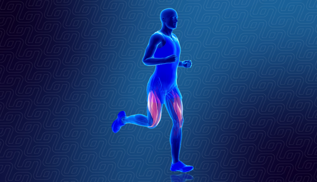 como o exercício fortalece a imunidade